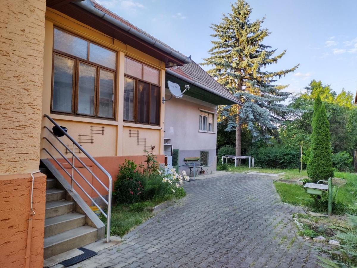Zadora Haus Apartment Sacele Exterior photo